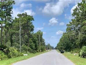 A paved road stretches into the distance, flanked by dense trees and utility poles — RALSTON STREET, ORLANDO, FL