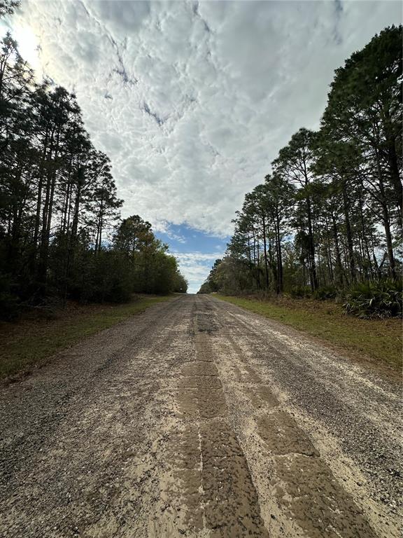 A dirt road stretches through a wooded area under a cloudy sky — 1639 W PENDLETON STREET, DUNNELLON, FL