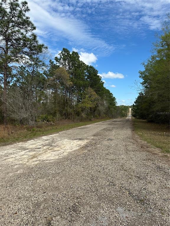A gravel road stretches into the distance between wooded areas under a blue sky — 1639 W PENDLETON STREET, DUNNELLON, FL