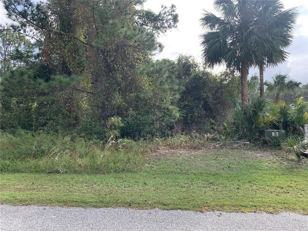 220 LIVE OAK BOULEVARD, CRESCENT CITY, FL — photo 2 of 4