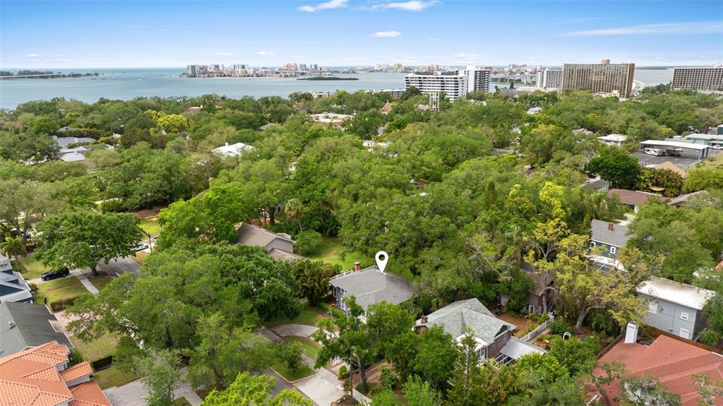 An aerial view shows a residential neighborhood with a marked house surrounded by dense trees — 418 JASMINE WAY, CLEARWATER, FL