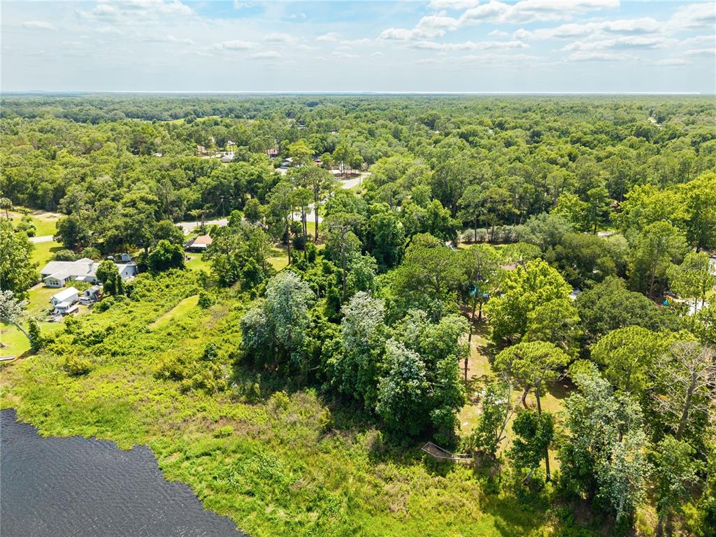 An aerial view shows a body of water bordering a wooded area and residential properties — FISHERMANS ROAD, PAISLEY, FL