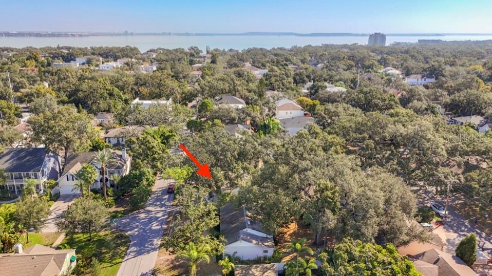 An aerial view of a residential neighborhood with many trees and a red arrow pointing down — 3120 W COACHMAN AVENUE, TAMPA, FL