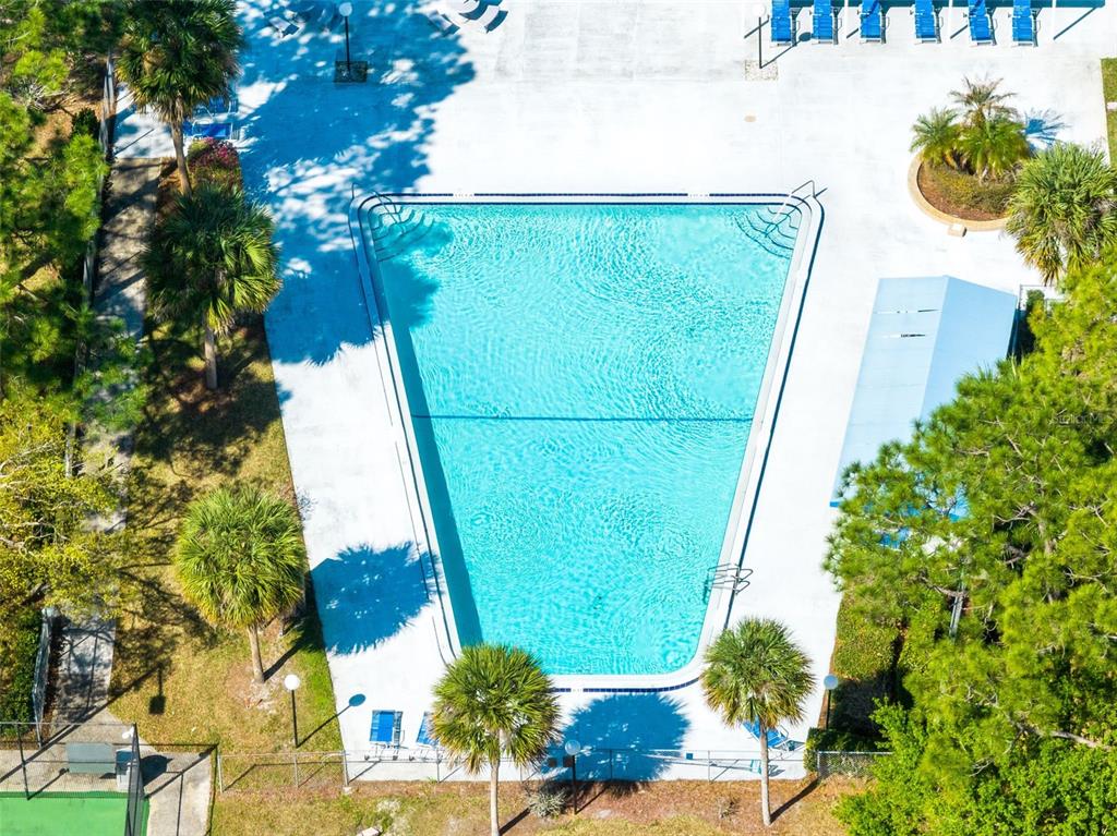 An aerial view of a triangular swimming pool surrounded by a concrete deck and palm trees — 10230 GENESEE LANE, ORLANDO, FL