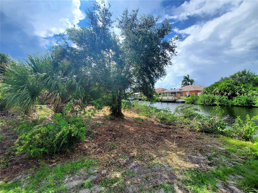 A large tree stands on a cleared waterfront lot with a canal and distant houses — 18037 OHARA DRIVE, PORT CHARLOTTE, FL