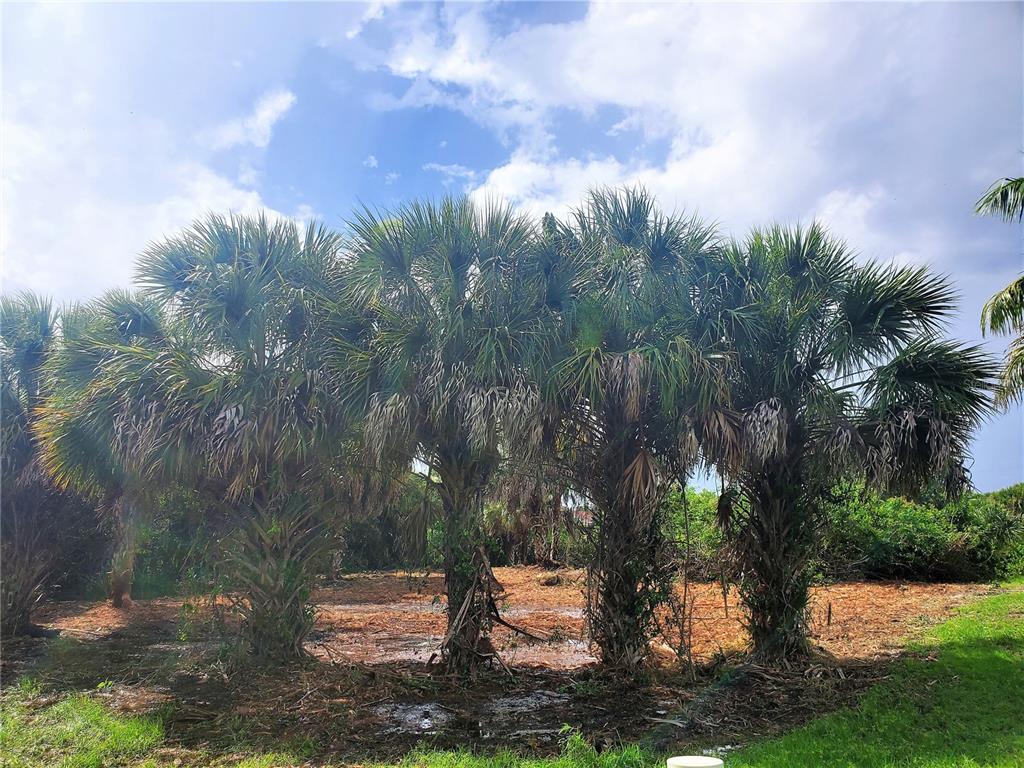 A row of palm trees stands in front of a cleared, muddy lot under a cloudy sky — 18037 OHARA DRIVE, PORT CHARLOTTE, FL