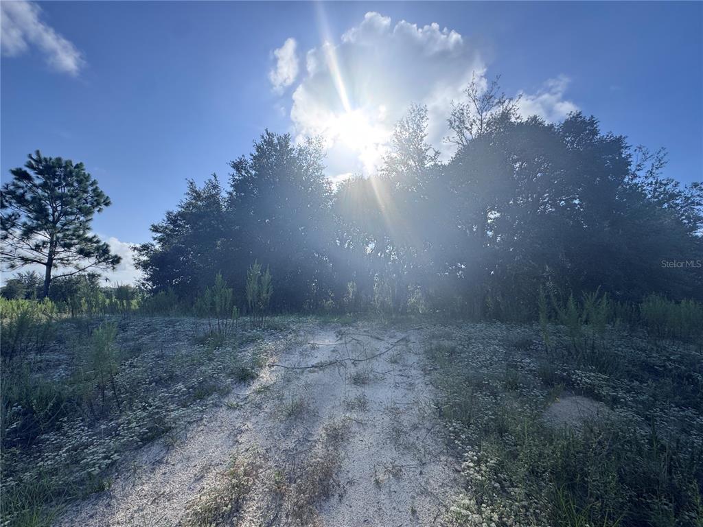 A dirt path leads toward a dense line of trees under a bright sun — 2251 E FOUR SEASONS LANE, INVERNESS, FL
