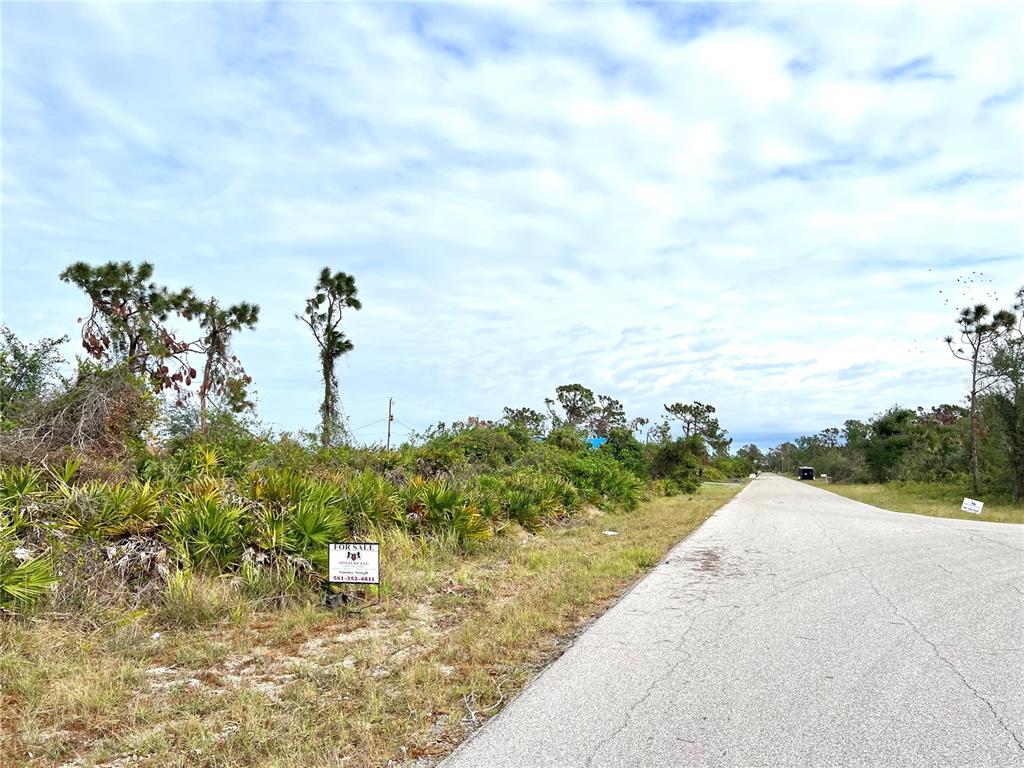 A vacant, overgrown lot with a for sale sign sits beside a paved road — 12324 HATHAWAY TERRACE, PORT CHARLOTTE, FL