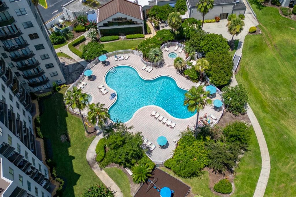An aerial view shows a swimming pool with lounge chairs and palm trees near buildings — 6165 CARRIER DRIVE UNIT 1215, ORLANDO, FL