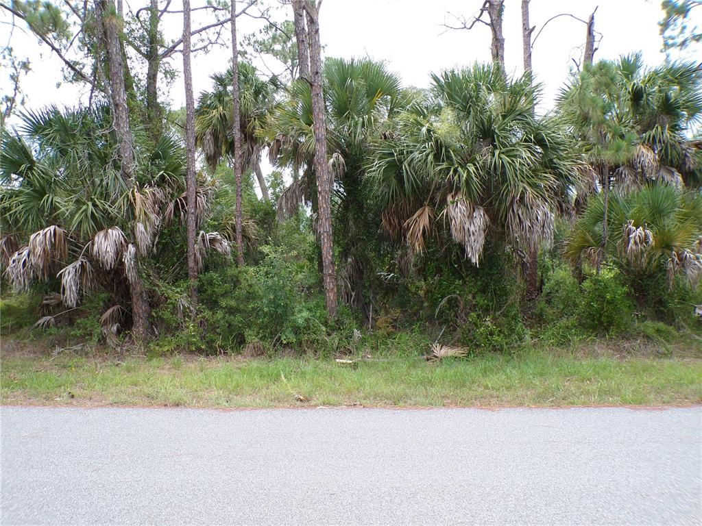 LUMMUS STREET