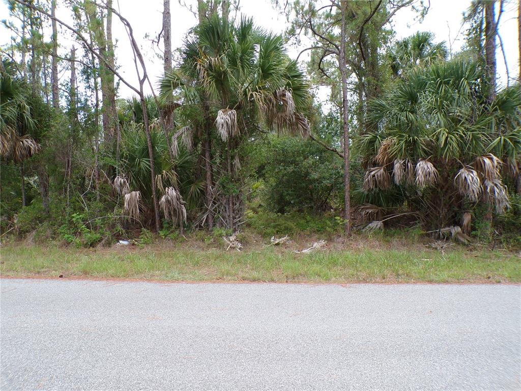 A paved road runs in front of a wooded lot with palm trees and vegetation — LUMMUS STREET, NORTH PORT, FL