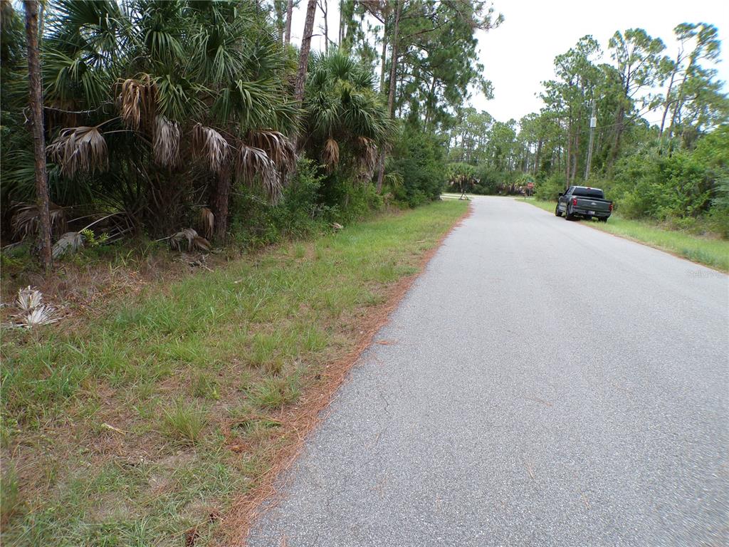 A paved road runs alongside a wooded lot with palm trees and a parked truck — LUMMUS STREET, NORTH PORT, FL