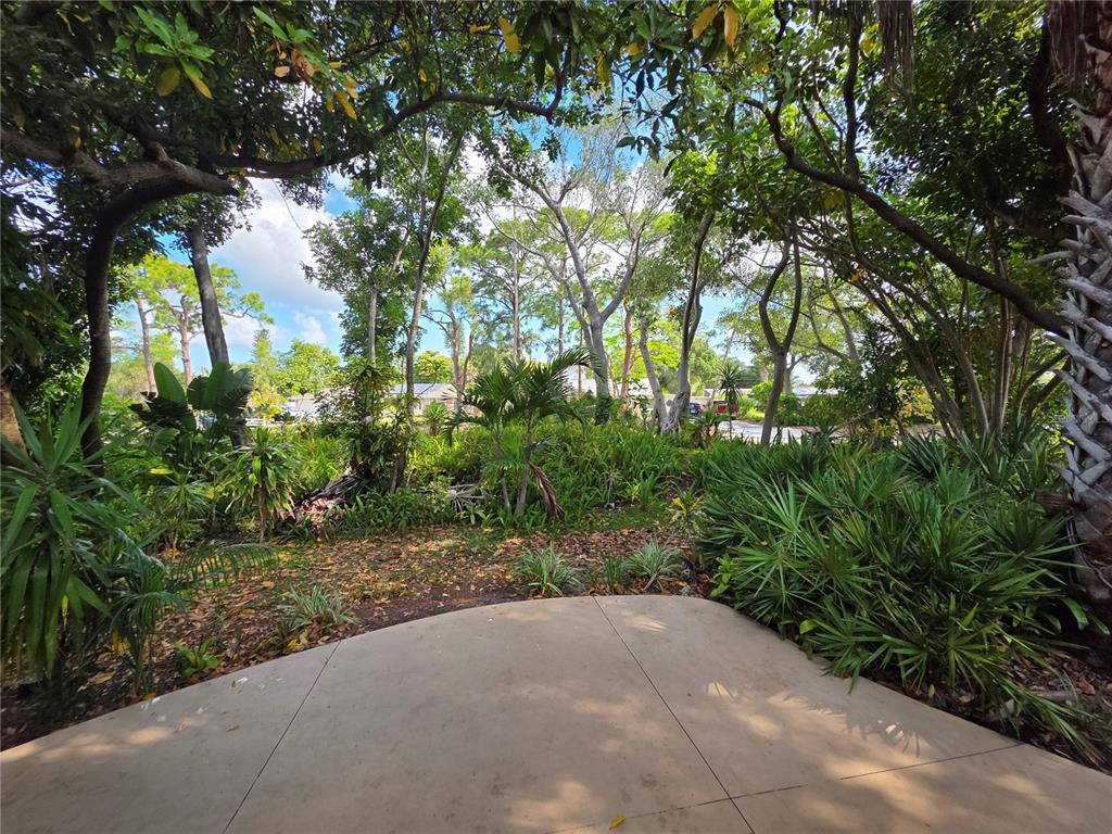 A concrete patio overlooks a lush, wooded backyard with dense tropical vegetation and tall trees — 7518 4TH AVENUE W, BRADENTON, FL