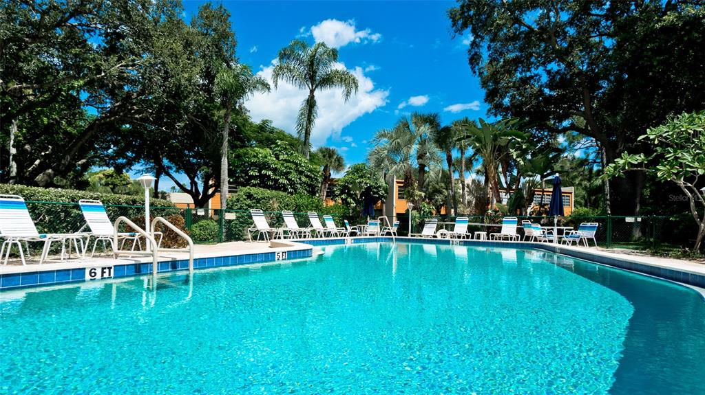 A swimming pool with lounge chairs on the deck surrounded by trees and palm trees — 146 WILD PALM DR UNIT 146, BRADENTON, FL