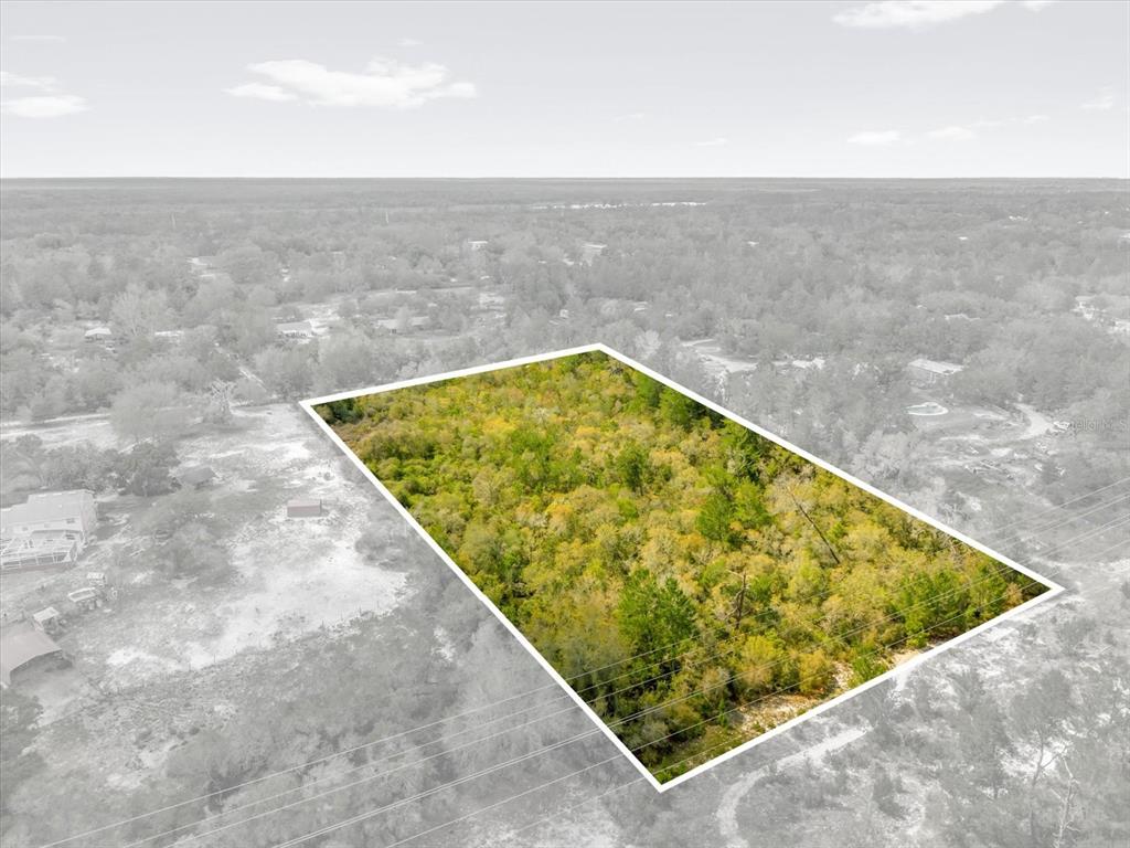 An aerial view shows a rectangular, wooded plot of land highlighted against a grayscale background — CHESTNUT AVENUE, ORANGE CITY, FL