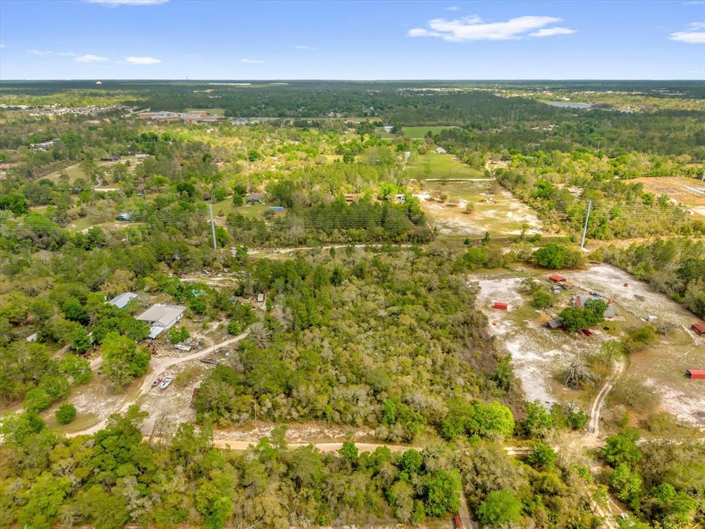 An aerial view shows a large, wooded plot of land with scattered houses and outbuildings — CHESTNUT AVENUE, ORANGE CITY, FL