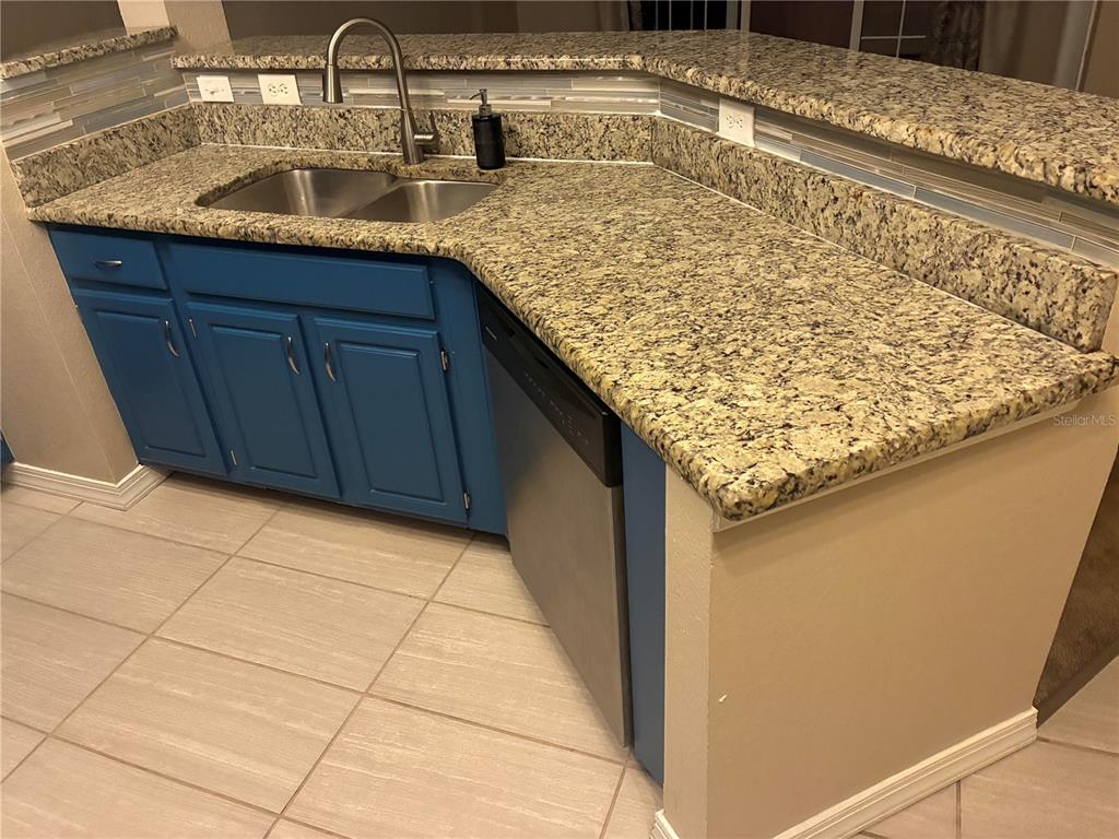 A kitchen features blue cabinets, granite countertops, a stainless steel dishwasher, and a double-basin sink — 3315 PARKCHESTER SQUARE BOULEVARD UNIT 206, ORLANDO, FL