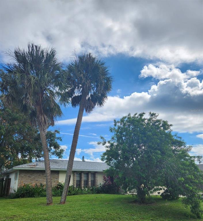 A single-story house with a brick facade sits behind two tall palm trees and landscaping — 549 BURLINGTON AVENUE NE, PALM BAY, FL
