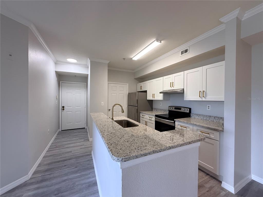 A kitchen with white cabinets, granite countertops, stainless steel appliances, and gray wood-look flooring — 5618 PINNACLE HEIGHTS CIRCLE UNIT 305, TAMPA, FL