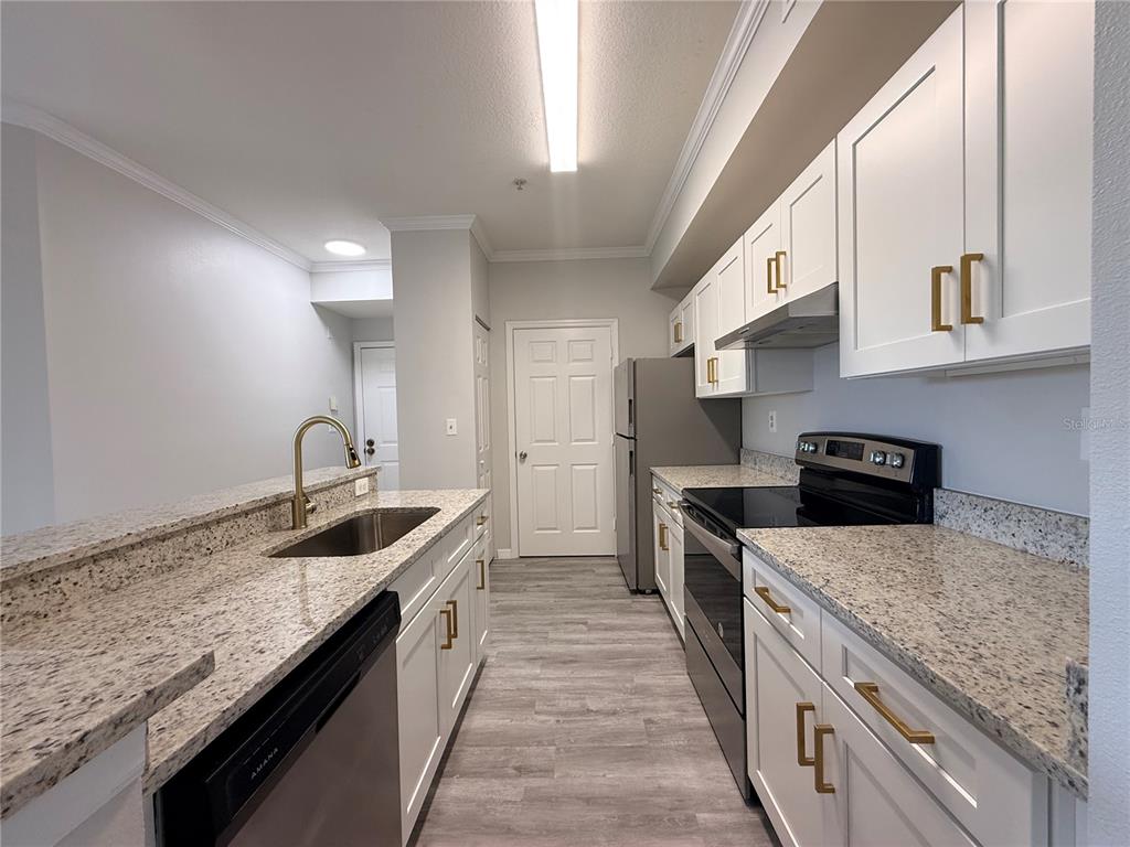 A galley kitchen features white cabinets, granite countertops, stainless steel appliances, and gold hardware — 5618 PINNACLE HEIGHTS CIRCLE UNIT 305, TAMPA, FL