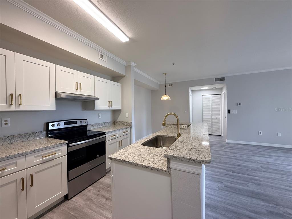 A kitchen features white cabinets, granite countertops, stainless steel appliances, and a central island — 5618 PINNACLE HEIGHTS CIRCLE UNIT 305, TAMPA, FL