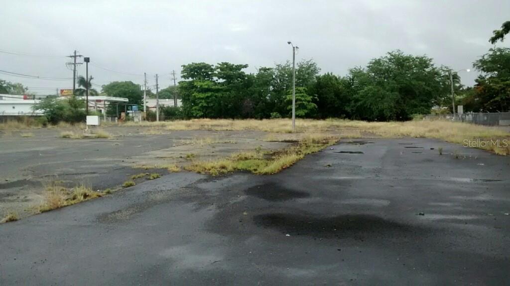 An expansive, weathered asphalt lot features patches of overgrown grass and utility poles — 6020 CAMPO RICO AVE., CAROLINA, PR