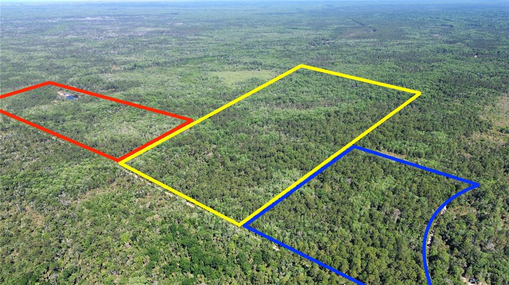 An aerial view shows three adjacent plots of forested land outlined in red, yellow, and blue — Tract 99 SW CR-347, CHIEFLAND, FL