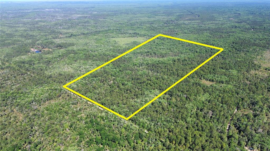 An aerial view shows a rectangular plot of land outlined in yellow amidst dense forest — Tract 99 SW CR-347, CHIEFLAND, FL