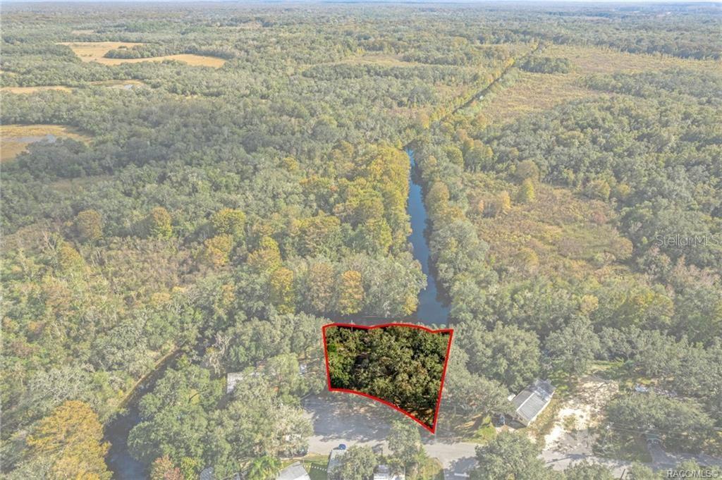 An aerial view shows a wooded lot outlined in red next to a narrow waterway — 11860 E CARDINAL PLACE, FLORAL CITY, FL