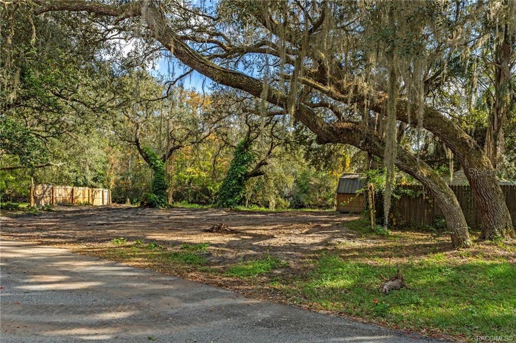 A cleared dirt lot features large oak trees with Spanish moss and a small shed — 11860 E CARDINAL PLACE, FLORAL CITY, FL