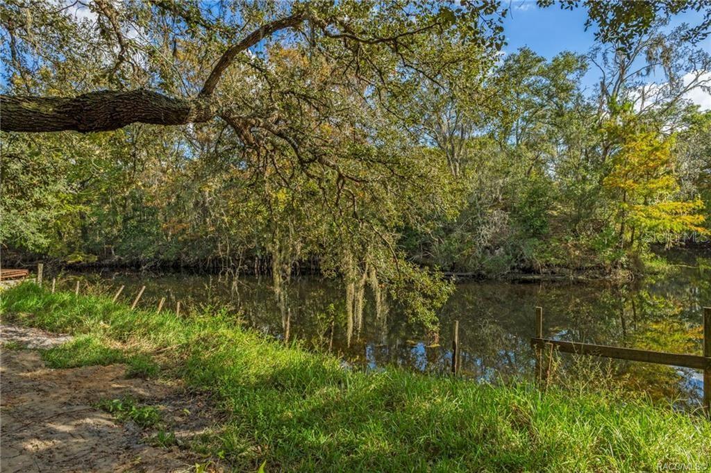 A view of a calm river bordered by grassy banks and large, moss-draped trees — 11860 E CARDINAL PLACE, FLORAL CITY, FL