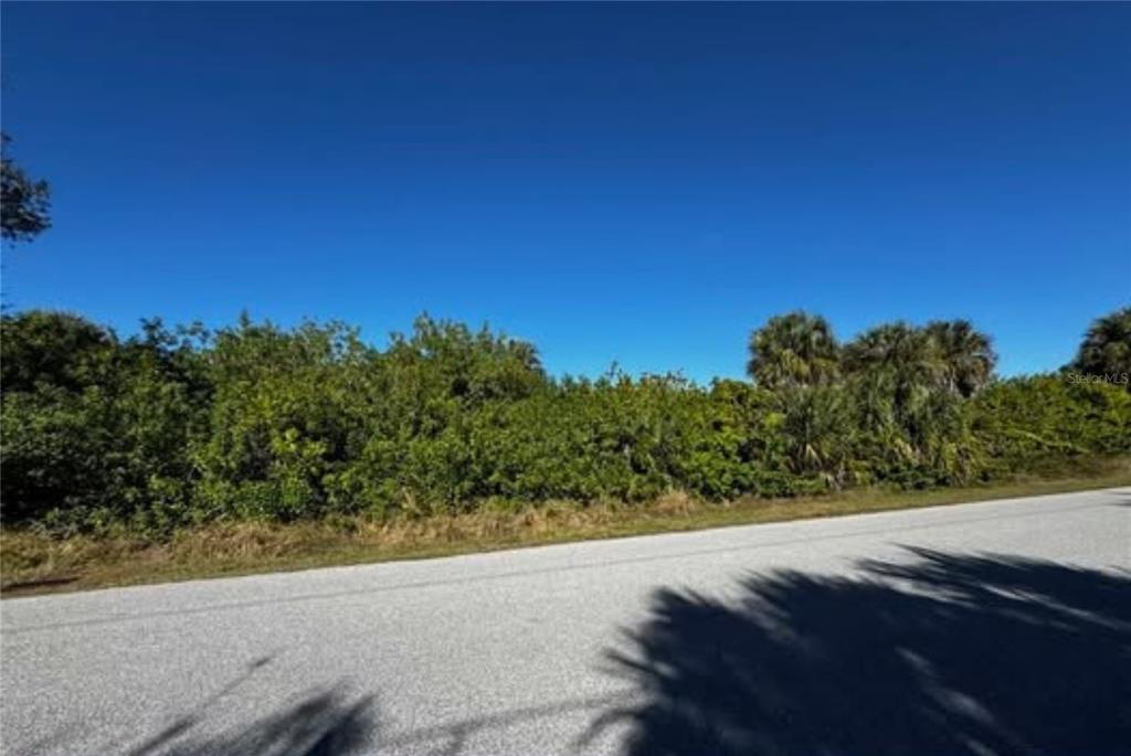 A paved road runs alongside a dense, overgrown lot filled with trees and shrubs — 4507 JOSEPH STREET, PORT CHARLOTTE, FL