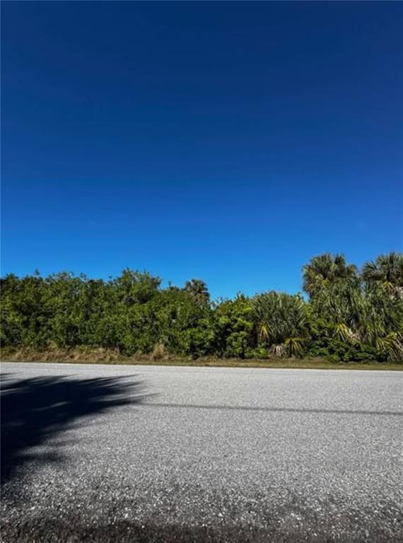 A paved road runs in front of a dense line of green trees and palms — 4507 JOSEPH STREET, PORT CHARLOTTE, FL