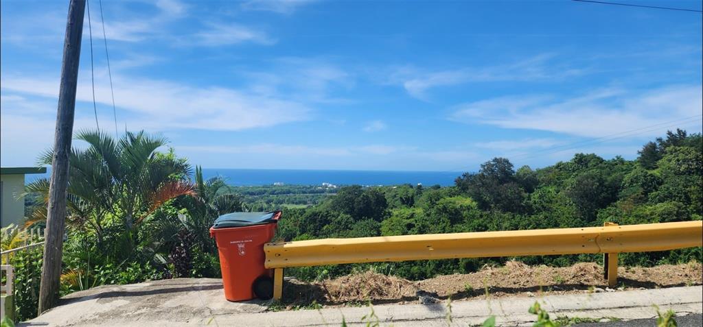An orange trash bin sits next to a yellow guardrail overlooking a coastal landscape — Carr. 412, Km. 4.8 CALLE PASCUAL NIEVES, BO. CALVACHE, RINCON, PR