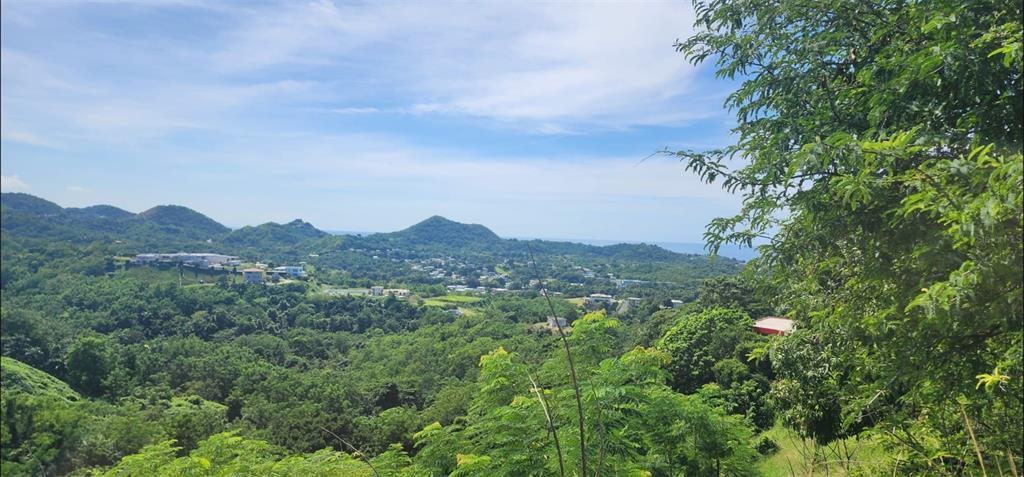A high-angle view of a lush, green valley with distant hills and the ocean beyond — Carr. 412, Km. 4.8 CALLE PASCUAL NIEVES, BO. CALVACHE, RINCON, PR