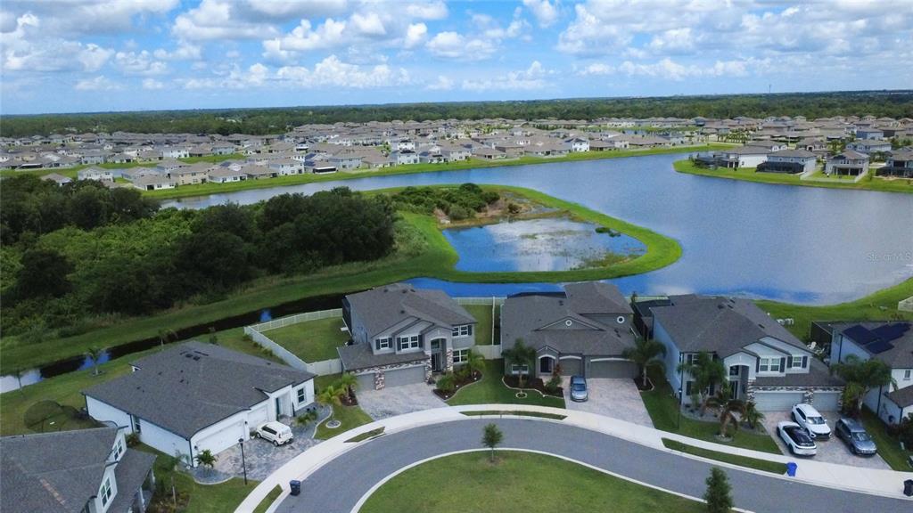 3195 KING FERN DRIVE, WIMAUMA, FL — photo 2 of 30