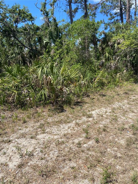 A view of a sandy, undeveloped lot with dense trees and palmetto bushes — 17115 HEMLOCK AVE, PORT CHARLOTTE, FL