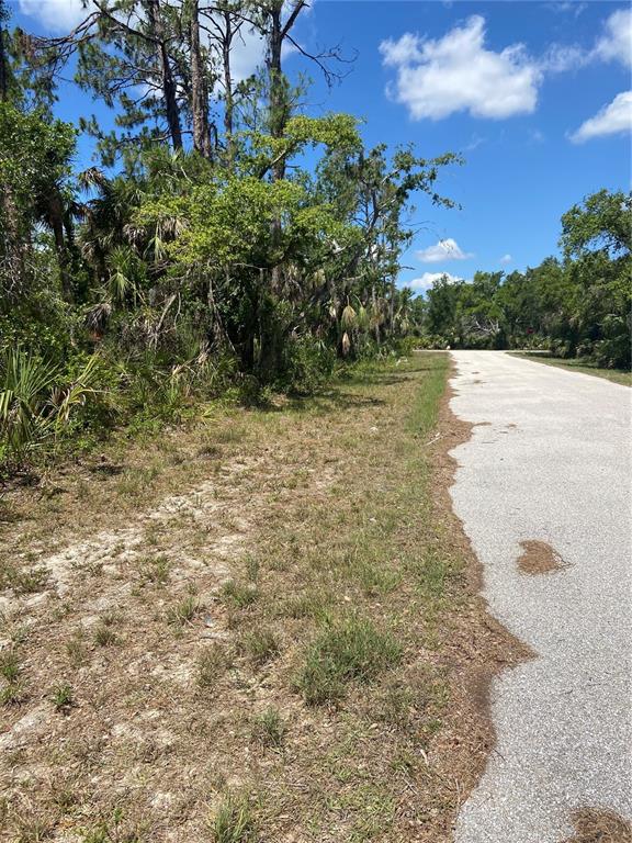 A paved road runs alongside a wooded area with trees and native vegetation — 17115 HEMLOCK AVE, PORT CHARLOTTE, FL