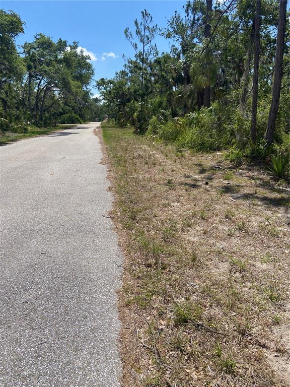 A paved road runs alongside a wooded lot with trees and low-lying vegetation — 17115 HEMLOCK AVE, PORT CHARLOTTE, FL