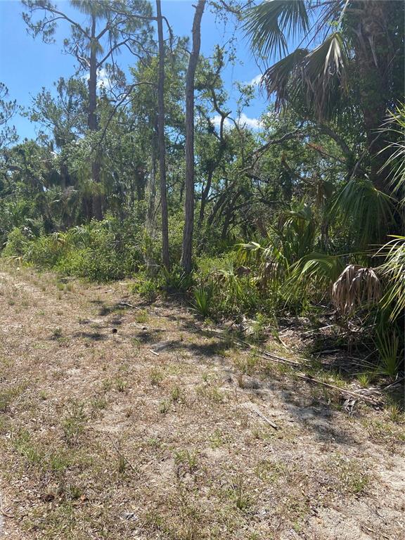 A view of a wooded, undeveloped lot with sandy ground and various trees and palms — 17115 HEMLOCK AVE, PORT CHARLOTTE, FL