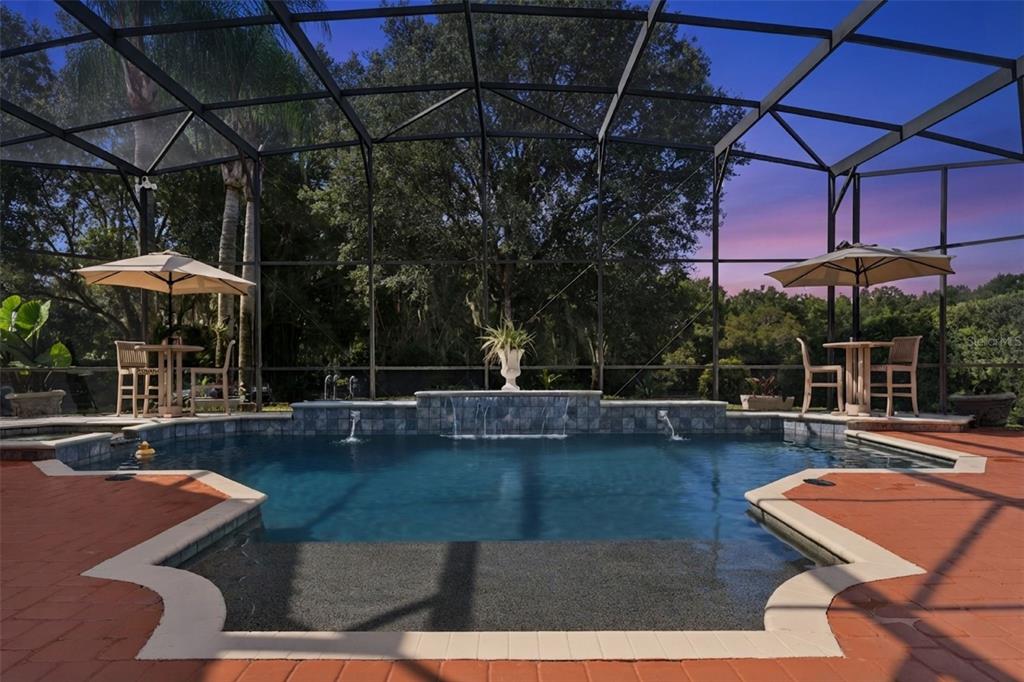 1516 SUNSET POINTE PLACE, KISSIMMEE, FL — photo 4 of 30