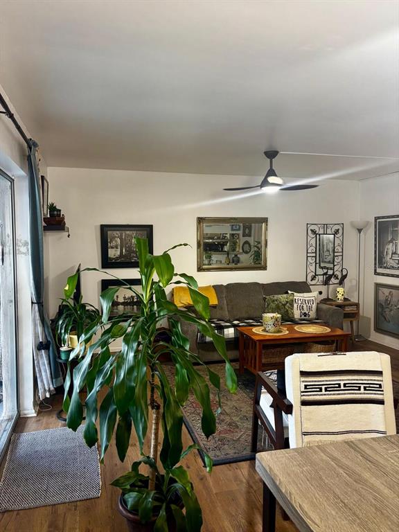A living room features a large potted plant, a gray sofa, and a ceiling fan — 1180 PASEO DEL MAR UNIT C, CASSELBERRY, FL