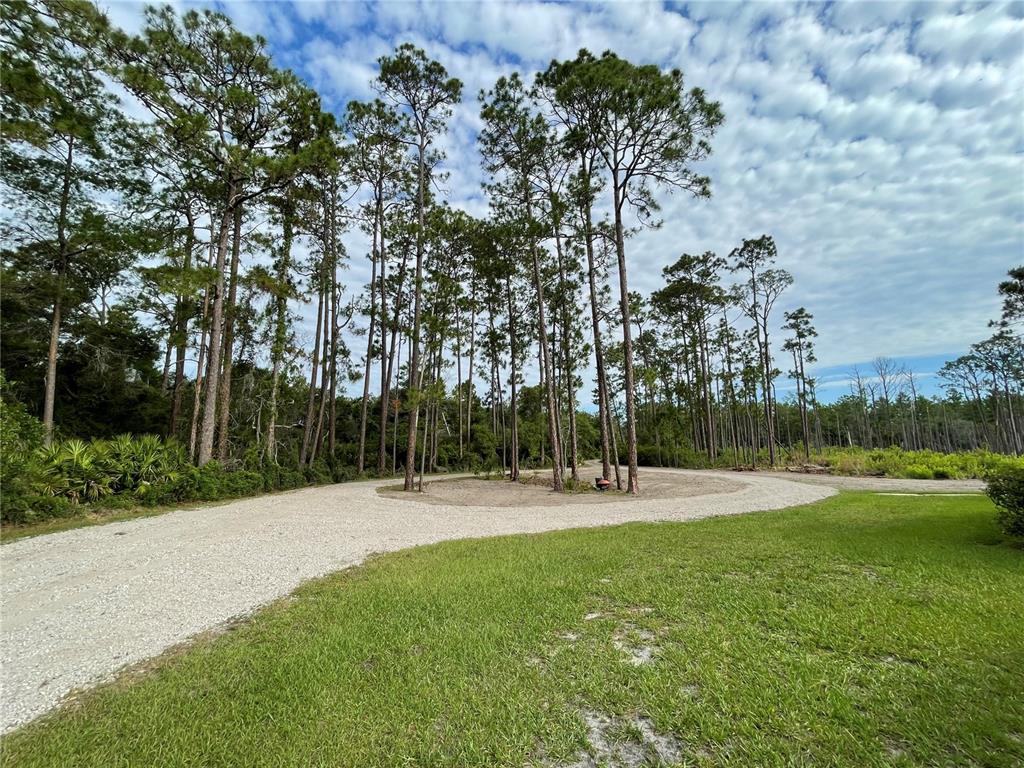A gravel driveway curves through a wooded lot with tall pine trees and green grass — 349 SEMINOLE WOODS BLVD, GENEVA, FL