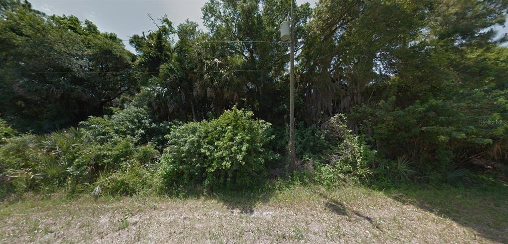 A utility pole stands in front of a dense, wooded lot with thick vegetation — SULTAN AVENUE, NORTH PORT, FL