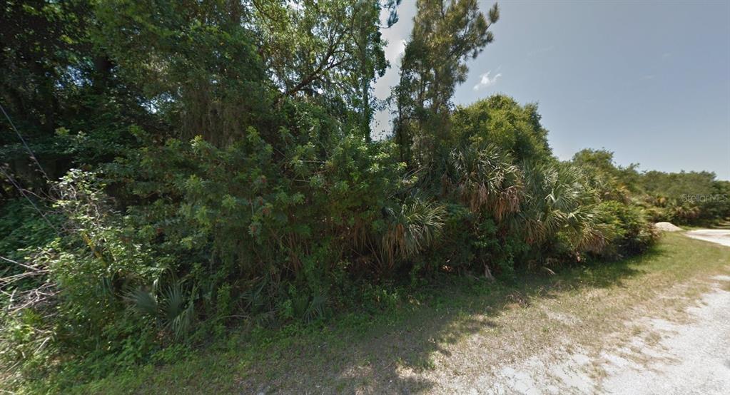 A dense, wooded lot with native trees and palmettos borders a dirt road — SULTAN AVENUE, NORTH PORT, FL