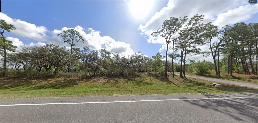 A paved road runs in front of a vacant, wooded lot with scattered pine trees — COMMONWEALTH AVE N, POLK CITY, FL