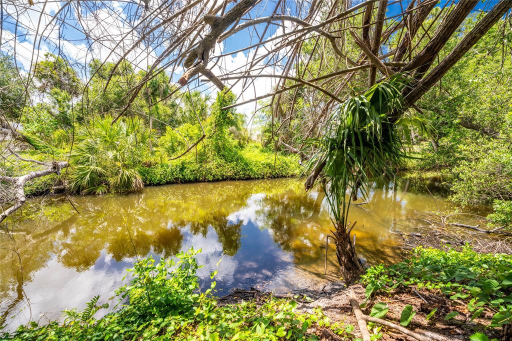 A small, murky pond is surrounded by lush green vegetation and overhanging tree branches — 2ND STREET, ENGLEWOOD, FL