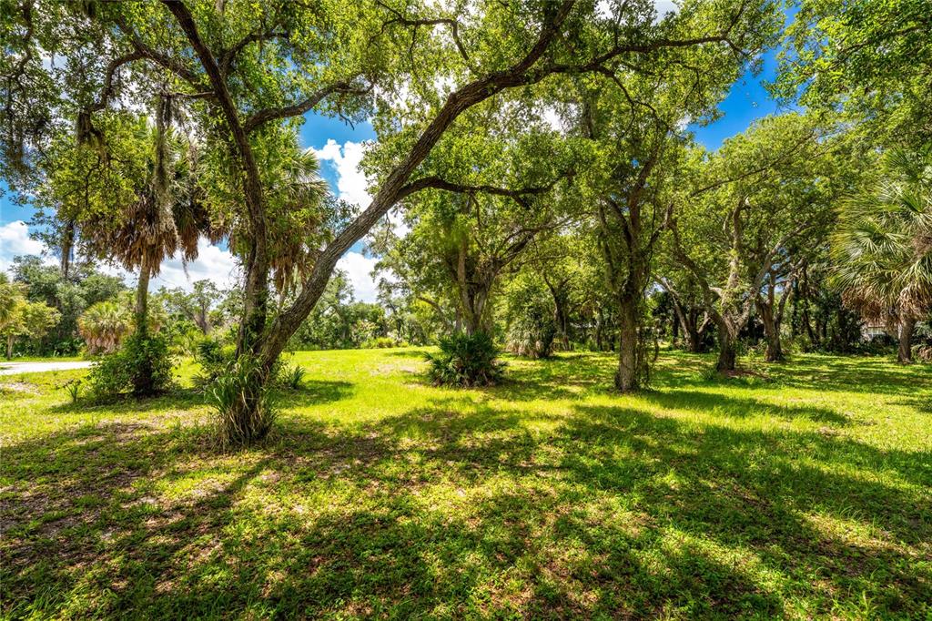 A grassy, sunlit lot is filled with mature oak trees and scattered palm plants — 2ND STREET, ENGLEWOOD, FL