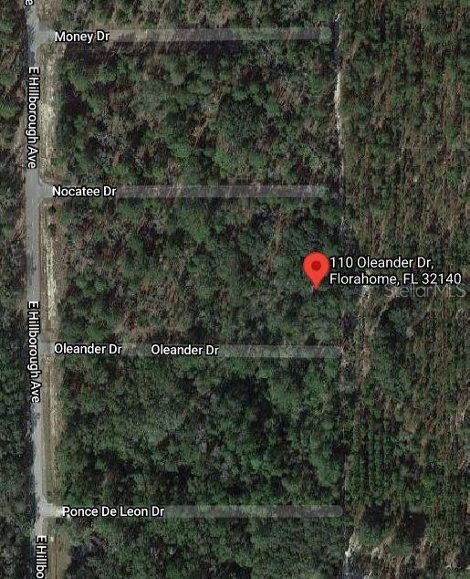 110 OLEANDER DRIVE, FLORAHOME, FL — photo 2 of 3