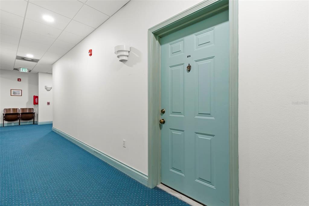 A hallway with blue carpet features a light blue door labeled 201 — 701 MIRROR LAKE DRIVE N UNIT 201, ST PETERSBURG, FL